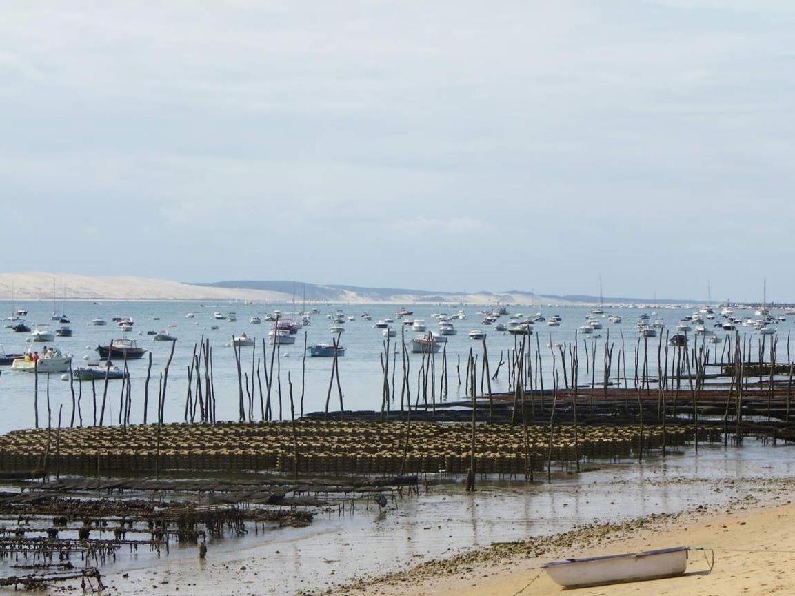 Appartement Cosy Village De L'Herbe Lège-Cap-Ferret エクステリア 写真