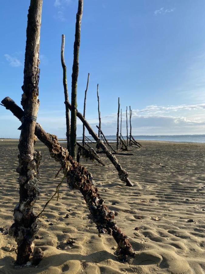 Appartement Cosy Village De L'Herbe Lège-Cap-Ferret エクステリア 写真